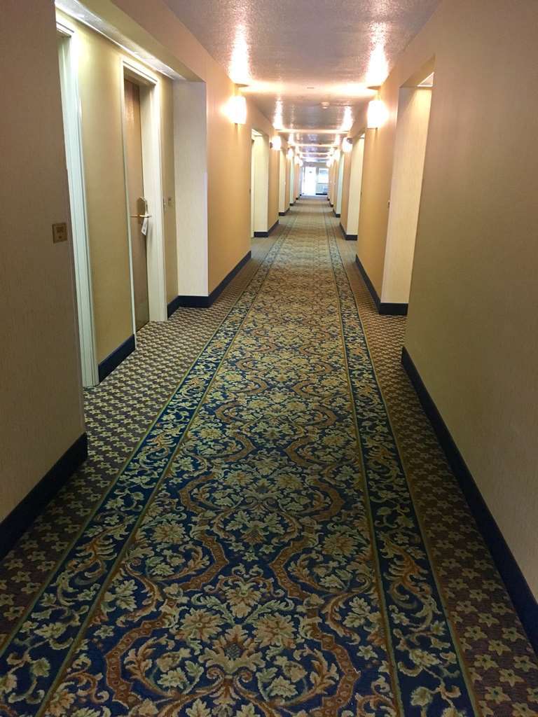 Best Western Сан Маркос Удобства фото
